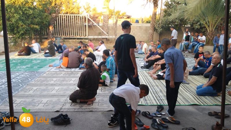 dahmash e33ed (7).JPG